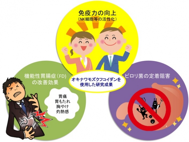 オキナワモズクフコイダンの効能