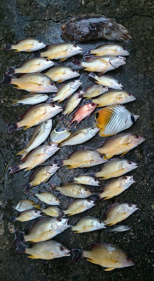 下地昌信さん撮影