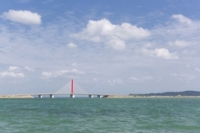 フコイダンってなに？