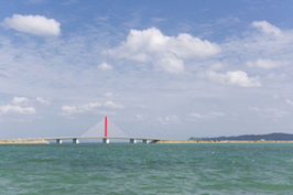 モズク・ラボ更新(2)