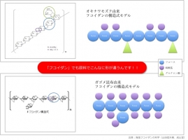 モズク・ラボ更新(3)
