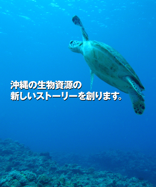 沖縄の生物資源の新しいストーリーを作ります。